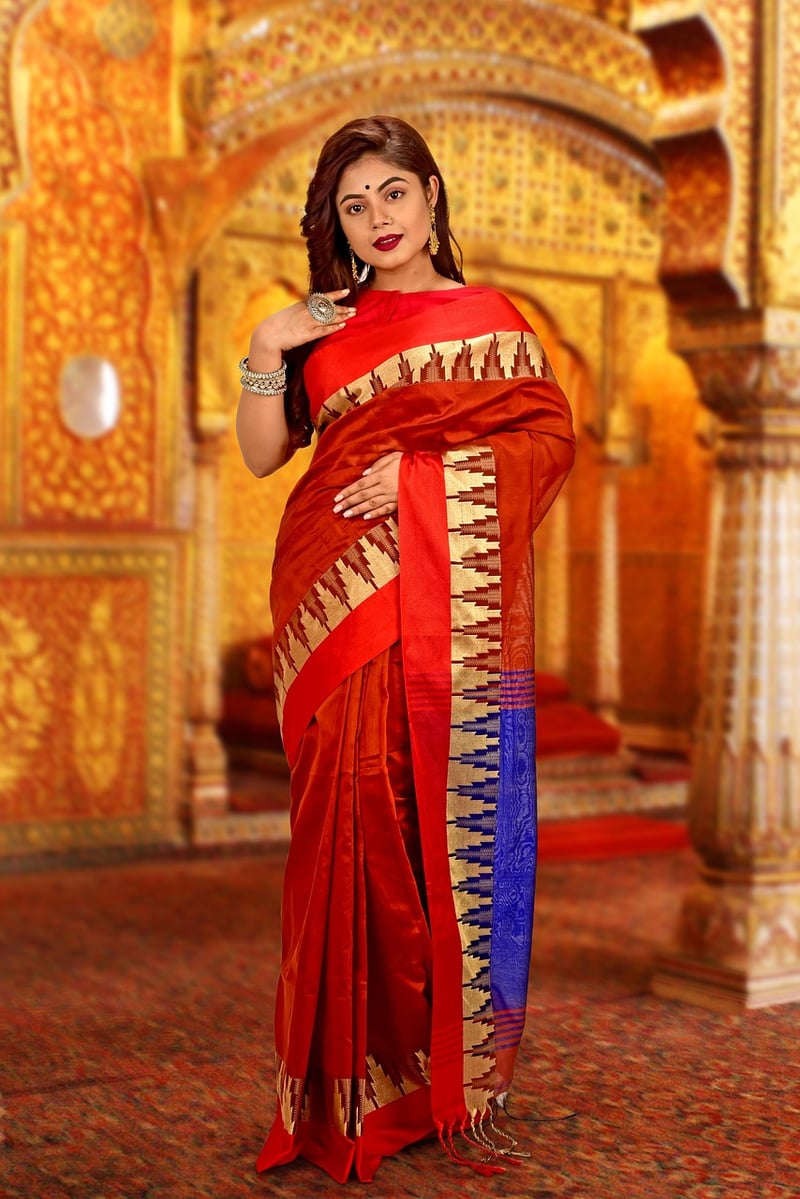 Saree Gown